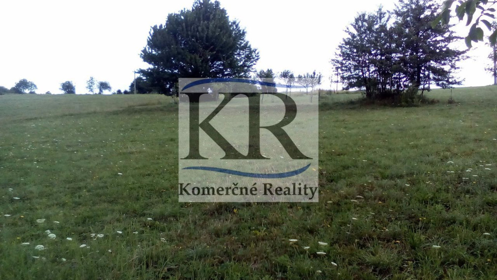 2700 m2 Pozemok - lúka na predaj, Chocholná Velčice - Kykula