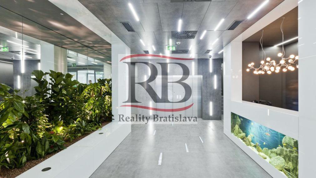 Exkluzívny administratívny priestor s terasou v centre, Mickiewiczova, Bratislava I, 148,47m2