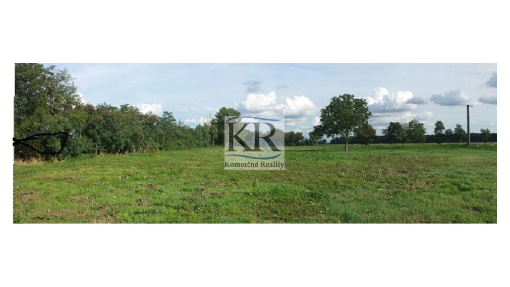 POZEMOK PRE PRIEMYSELNÉ VYUŽITIE NA PREDAJ, OBEC LOK - OKRES LEVICE