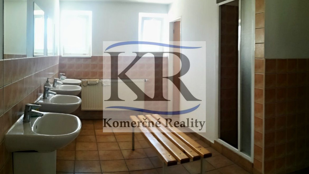 722 m2 hala so žeriavom na PRENÁJOM, Trenčín