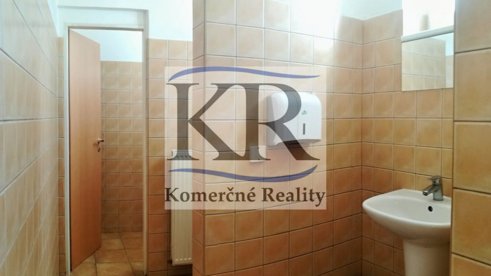 722 m2 hala so žeriavom na PRENÁJOM, Trenčín