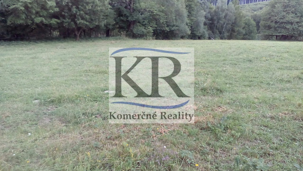 11 200 m2 Pozemok  - lúka (trvalý trávny porast ) na PREDAJ