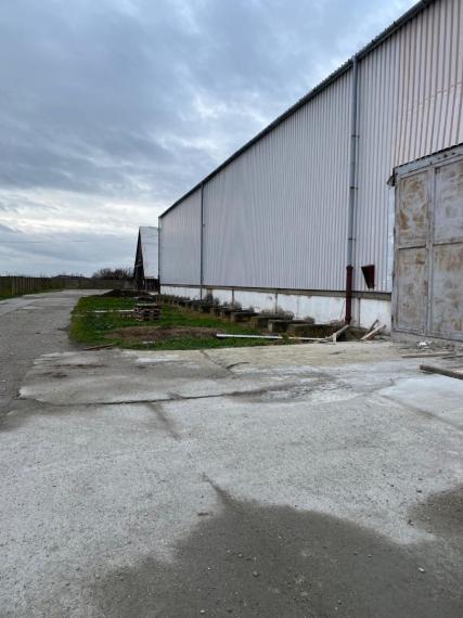 Skladová hala na prenájom, Trnava, výhodný nájom