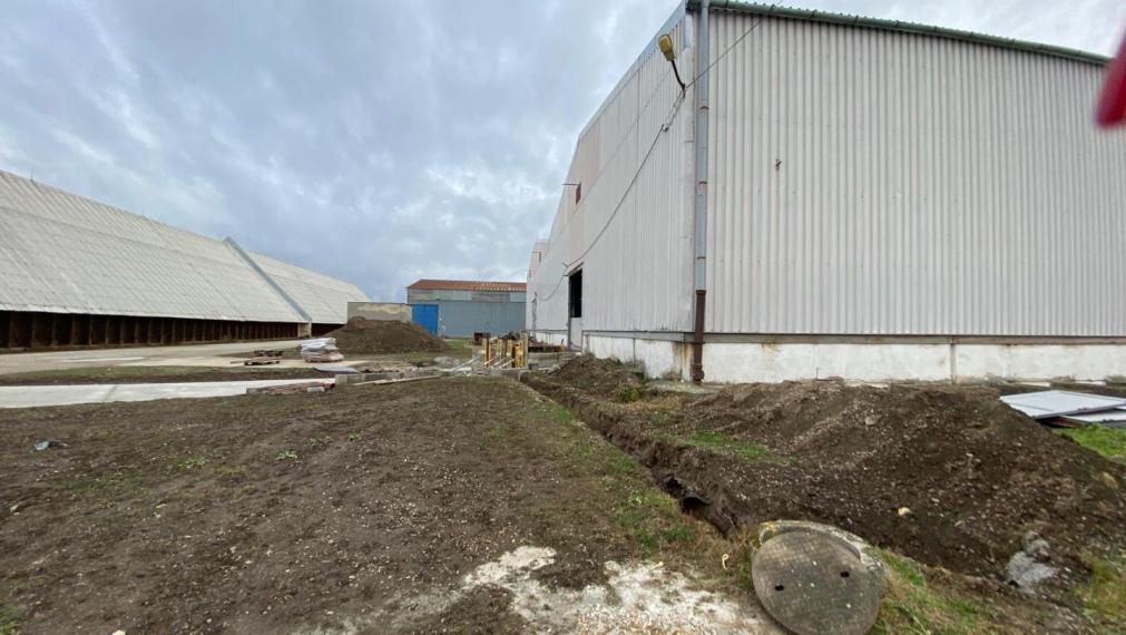 Skladová hala na prenájom, Trnava, výhodný nájom