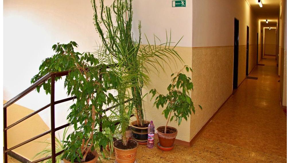 kancelárske priestory v budove na Sihoti ,Trenčín