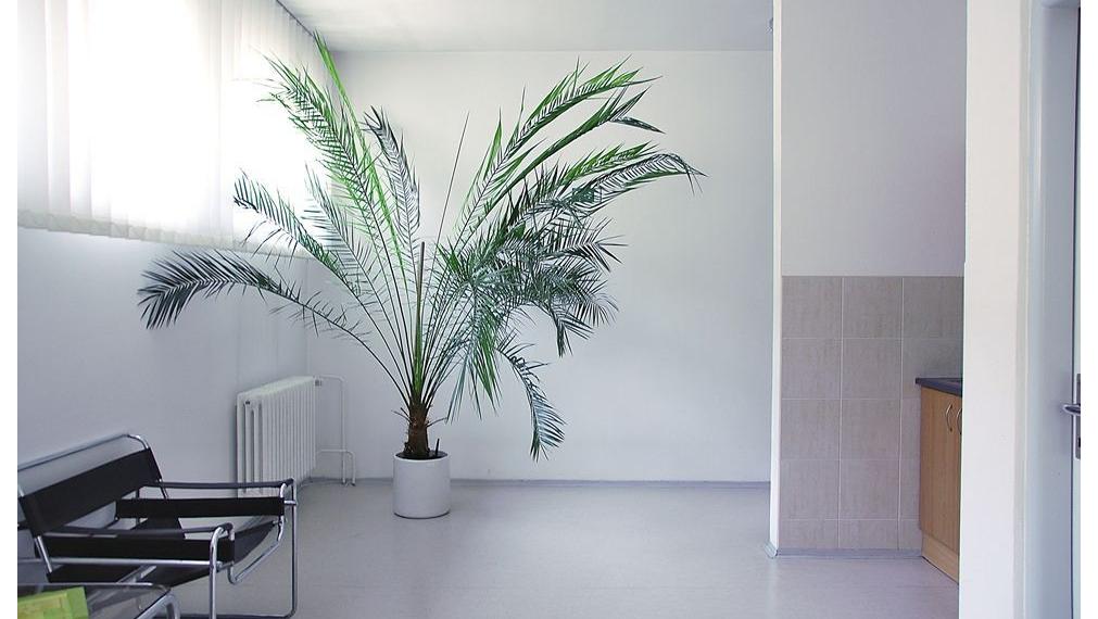 41 m2 - Administratívne priestory na PRENÁJOM, Trenčín centrum