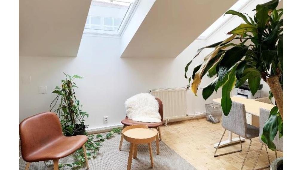 Kancelárie v krásnej historickej budove na Zochovej ulici, Staré Mesto, 57,19m2