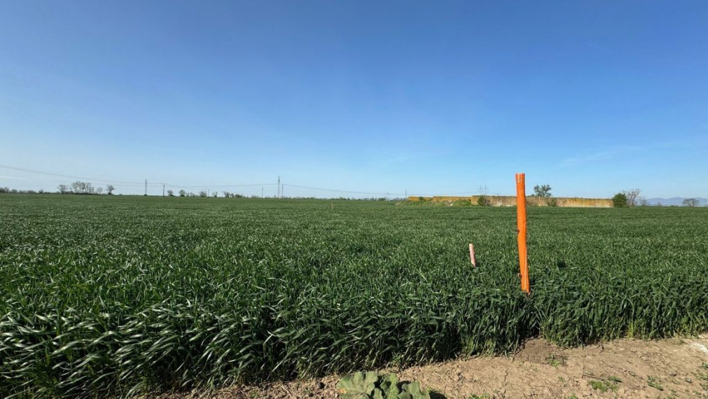  Veľký investičný pozemok neďaleko od Trnavy