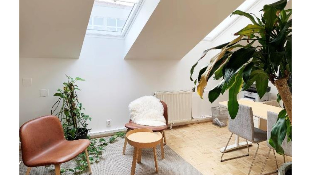 Kancelárie v krásnej historickej budove na Zochovej ulici, Staré Mesto, 174,40m2