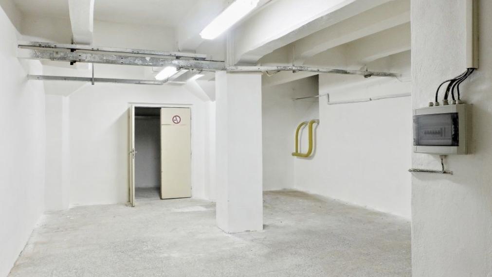 Prenájom výrobných a skladových hál od 1000 m2 Holíč