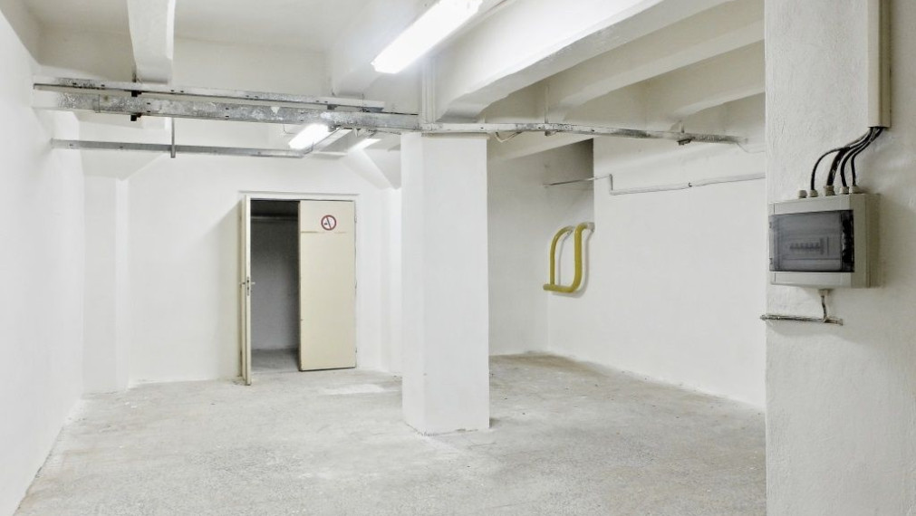 Prenájom objektu - výrobné haly 4787,4 m2 Holíč