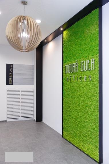 Moderné administratívne priestory s výhľadom na Prezidentský Palác, BAI