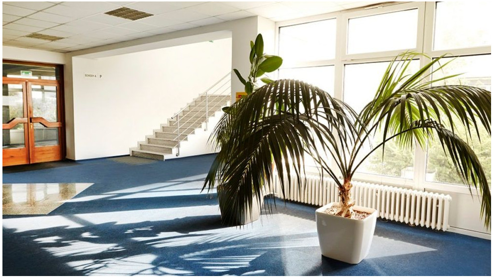 Na prenájom kancelárske priestory na Ivanskej ceste.