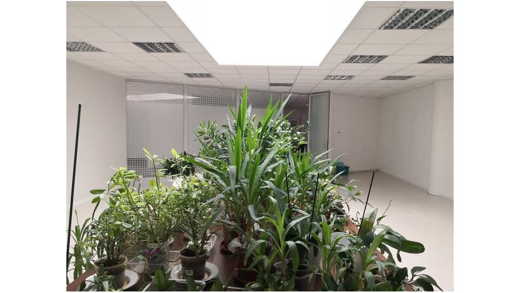 Prenájom Open spacu - Palisády, 130 m2