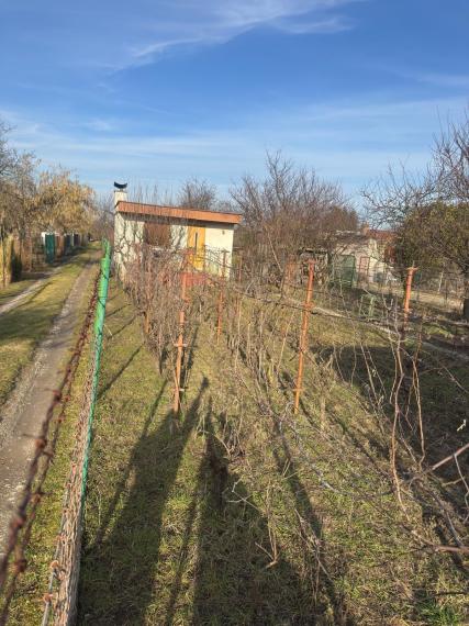 Na predaj záhrada s podpivničenou chatkou v Podunajských Biskupiciach