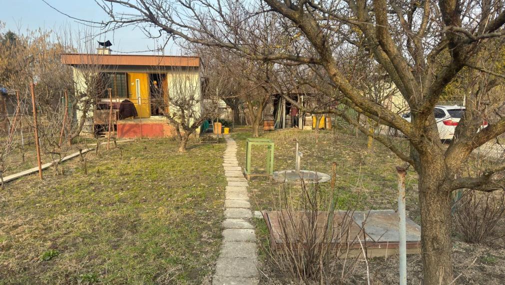 Na predaj záhrada s podpivničenou chatkou v Podunajských Biskupiciach