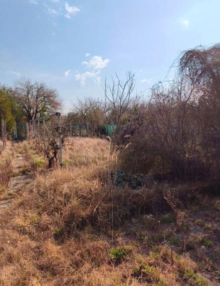 Záhrada na predaj s rozlohou 386m2, Bratislava III TOP