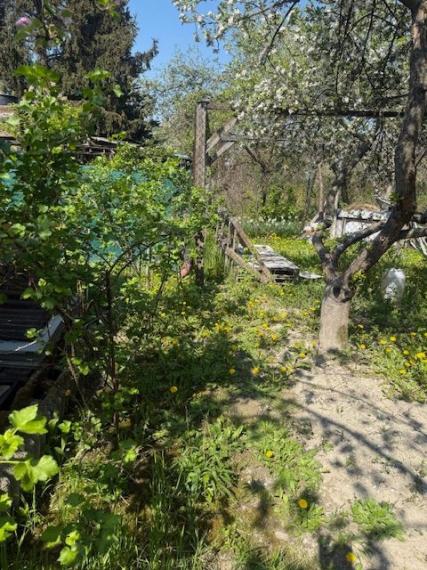 Predaj slnečnej záhrady, 330 m² – Agátová, Bratislava – Dúbravka