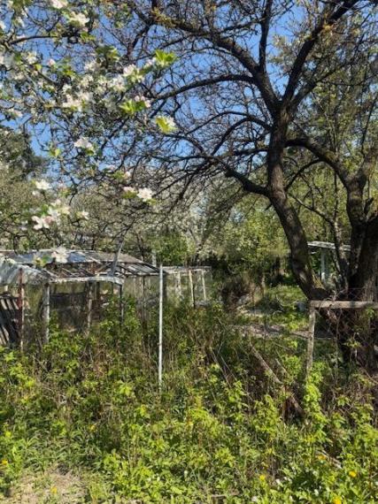 Predaj slnečnej záhrady, 330 m² – Agátová, Bratislava – Dúbravka