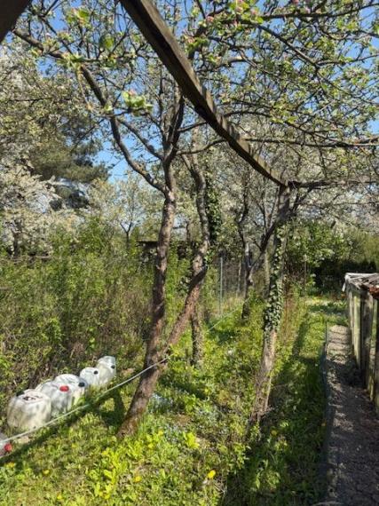 Predaj slnečnej záhrady, 330 m² – Agátová, Bratislava – Dúbravka