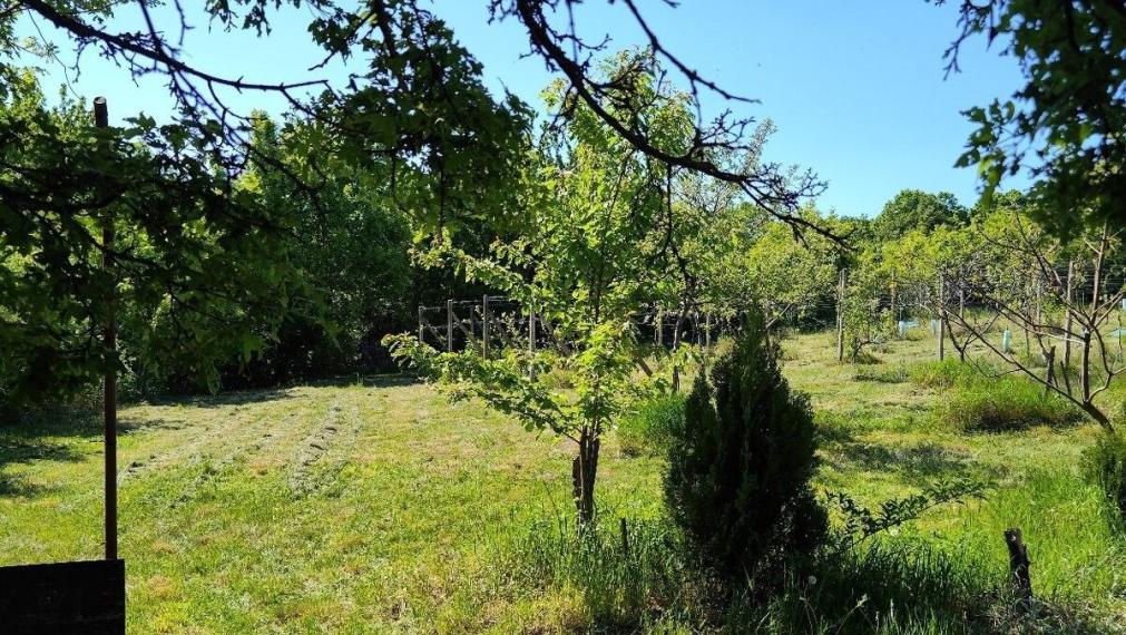 Na predaj krásna rekreačna záhradu o výmere 2169m², Pezinok