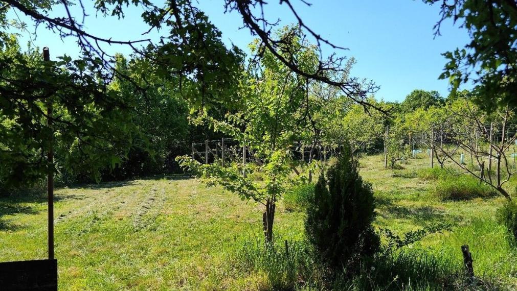 Na predaj krásna rekreačna záhradu o výmere 2169m², Pezinok