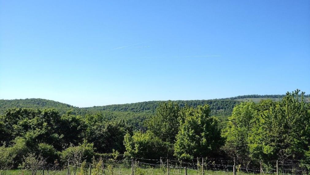 Na predaj krásna rekreačna záhradu o výmere 2169m², Pezinok
