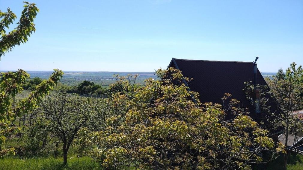 Na predaj krásna rekreačna záhradu o výmere 2169m², Pezinok