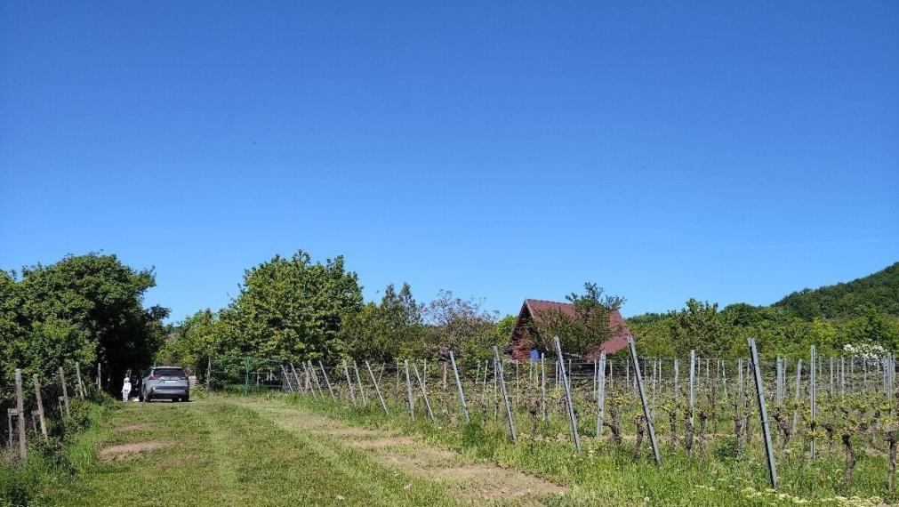 Na predaj krásna rekreačna záhradu o výmere 2169m², Pezinok