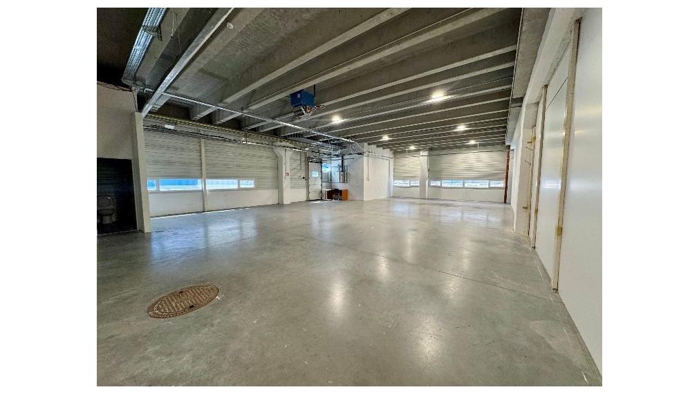 Na prenájom sklady, showroom - predajňa, 190m2, Bratislava III TOP