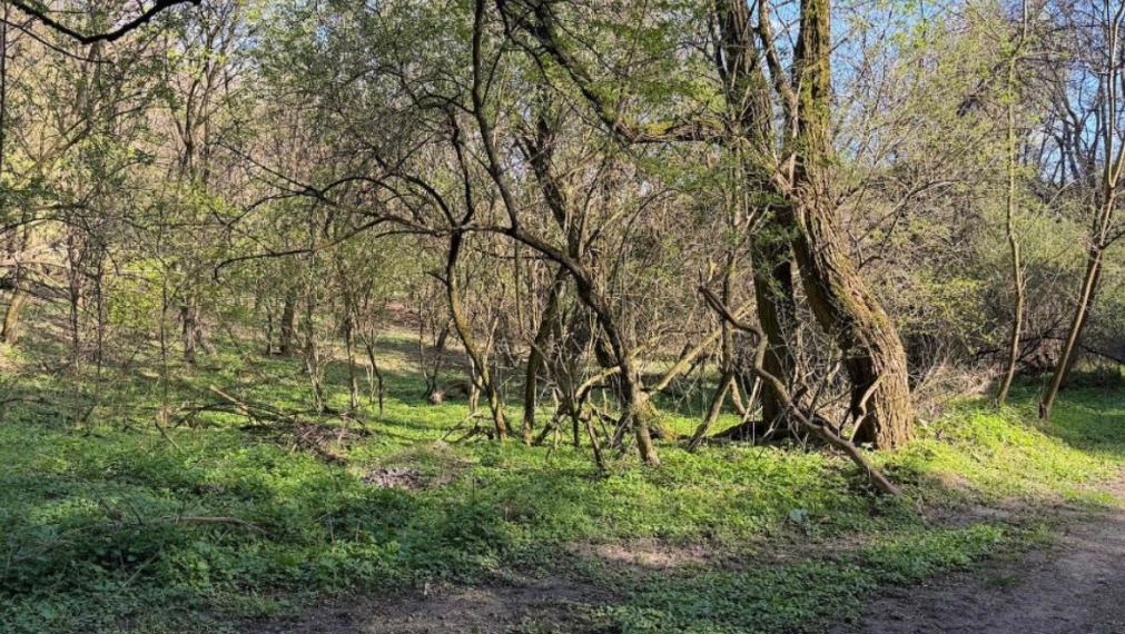 Na predaj alebo na spoločný developerský projekt výnimočný investičný pozemok 