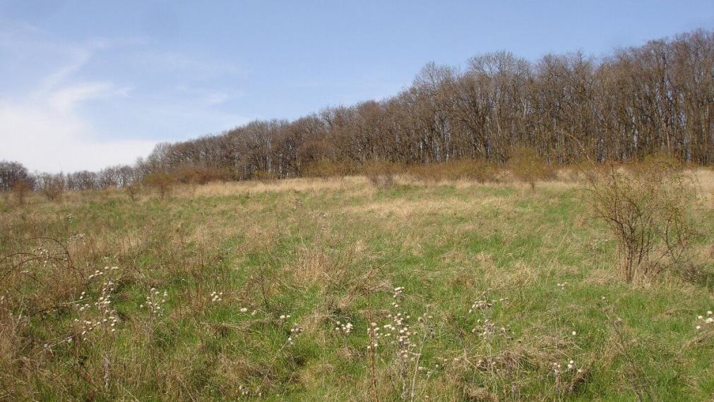 Na predaj alebo na spoločný developerský projekt výnimočný investičný pozemok 