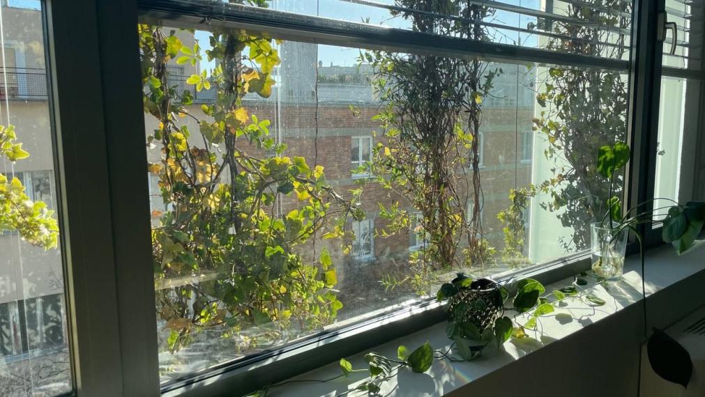Exkluzívne administratívne priestory 169m2 + 3x PARKING, Mickiewiczova-Staré Mesto