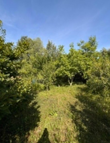 Na predaj záhrada s výmerou 444 m2, situovanú v tichej záhradkárskej oblasti 