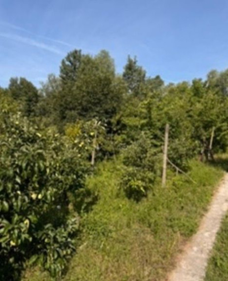 Na predaj záhrada s výmerou 444 m2, situovanú v tichej záhradkárskej oblasti 