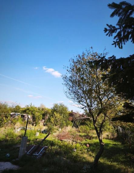 Na predaj záhrada v osobnom vlastníctve s výmerou 387 m2