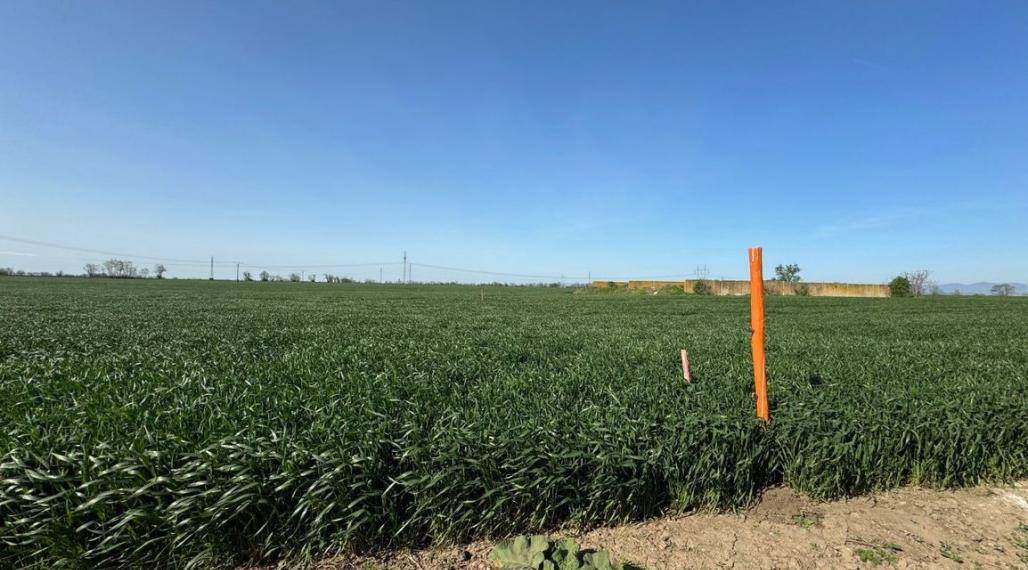 Investičný pozemok 28 249 m² neďaleko Trnavy na predaj