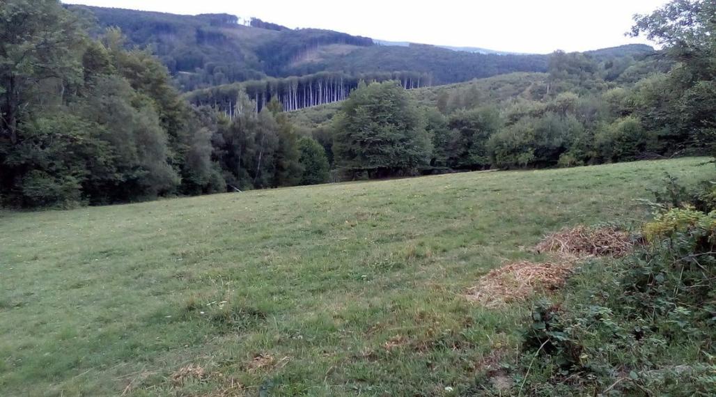 11 200 m2 Pozemok  - lúka (trvalý trávny porast ) na predaj