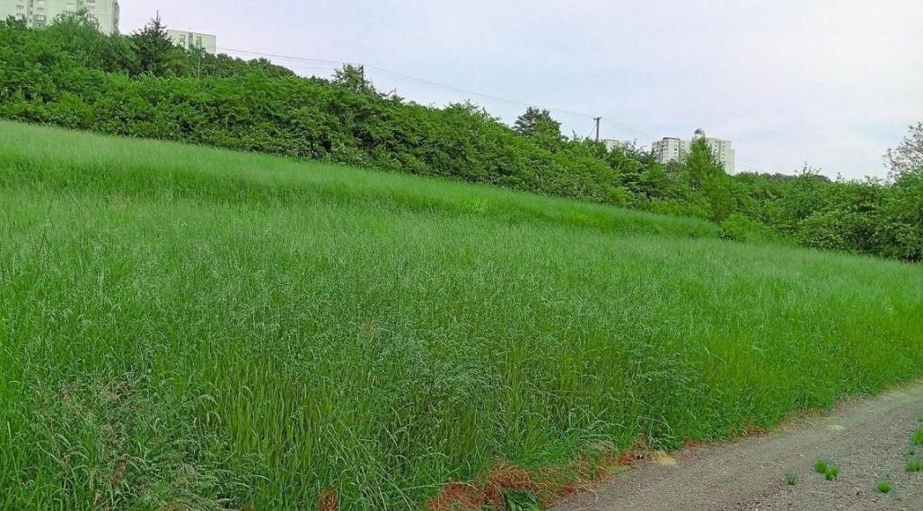 Pozemok, Jelšové,  Považská Bystrica 