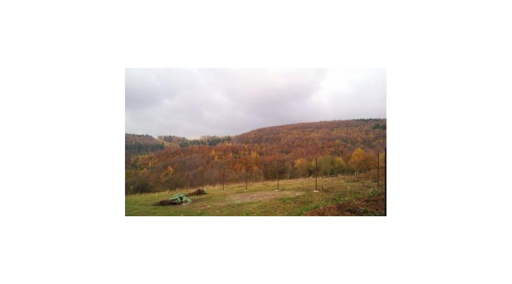 Pozemok – záhrada, Dolná Súča, okres Trenčín