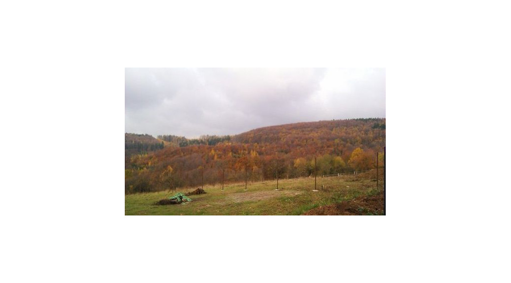 Pozemok / záhrada, na predaj, Dolná Súča, okres Trenčín