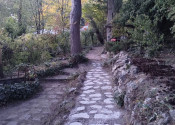 Na predaj výnimočný pozemok s rozlohou 533 m2  - fotografia 11
