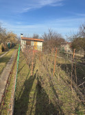 Na predaj záhrada s podpivničenou chatkou v Podunajských Biskupiciach - fotografia 5