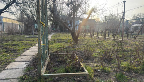Na predaj záhrada s podpivničenou chatkou v Podunajských Biskupiciach - fotografia 15