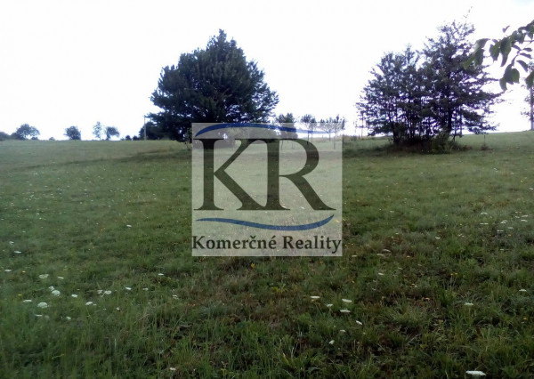 2700 m2 Pozemok - lúka na predaj, Chocholná Velčice - Kykula