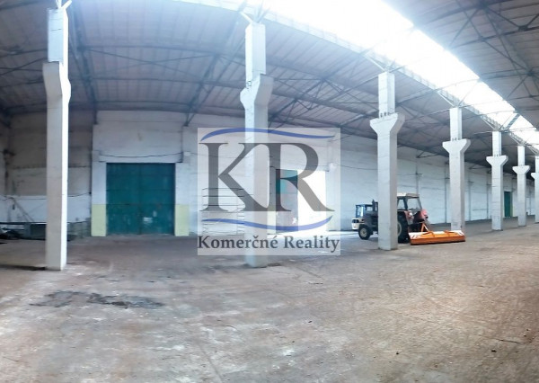 4000 m2 Sklad na prenájom, Nové Mesto nad Váhom