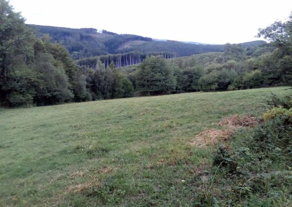 11 200 m2 Pozemok  - lúka (trvalý trávny porast ) na predaj