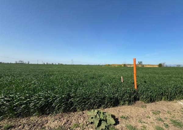 Investičný pozemok 28 249 m², Malženice, okres Trnava