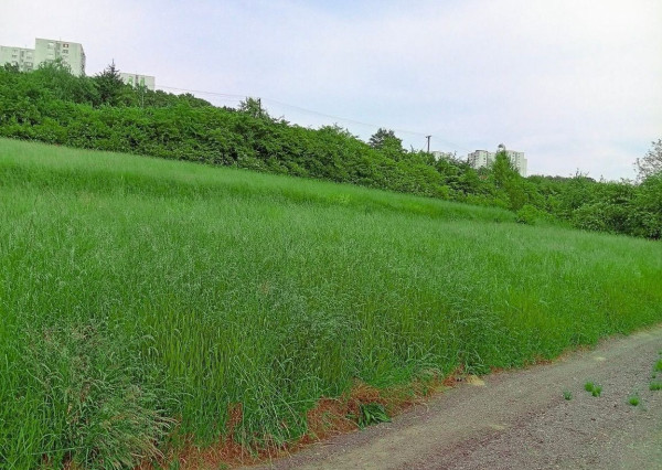 Pozemok, Jelšové,  Považská Bystrica 