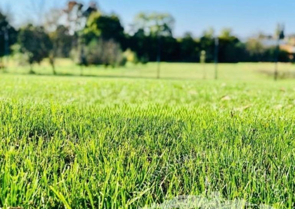 Na predaj - stavebný pozemok ul. Ladislava Dérera, Bratislava III